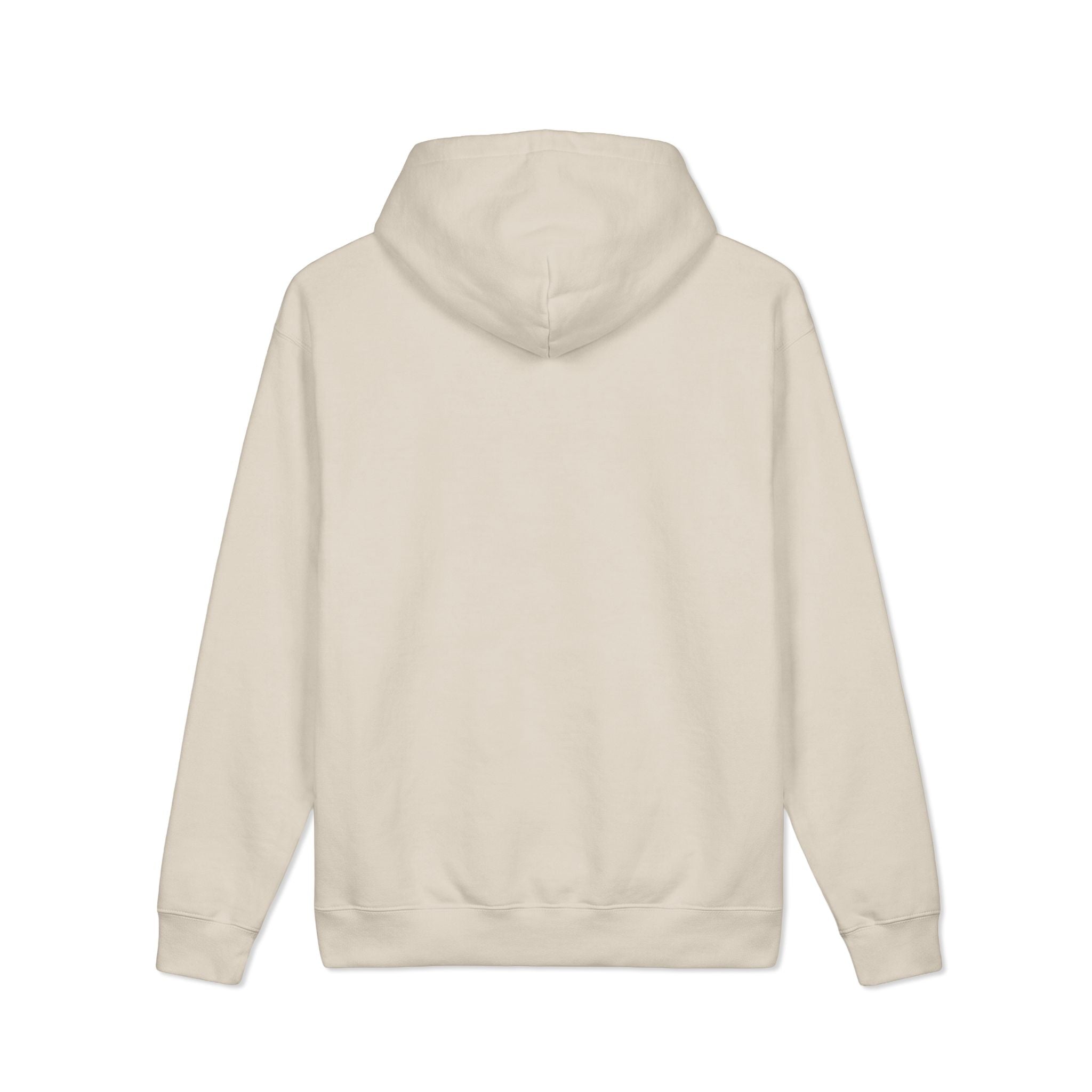 Inclusion Is the Point Hoodie — Inclusive Equality Message Sweatshirt